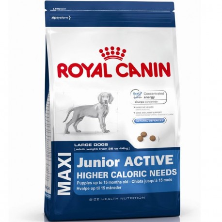 Royal Canin Maxi Junior Active 4kg