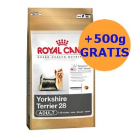 Royal Canin Yorkshire 0,5kg + 0,5kg GRATIS !!!