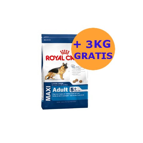 Royal Canin Maxi Adult 5+ 18KG GRATIS !!!
