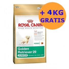 Royal Canin Golden Junior 2 x 12kg + 4KG GRATIS !!!