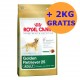 Royal Canin Golden Retriever 12 + 2KG GRATIS !!!