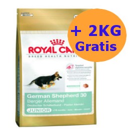 Royal Canin German Shepherd Junior 12 + 2KG GRATIS !!!