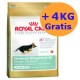 Royal Canin German Shepherd Junior 2 x 12 + 4KG GRATIS !!!