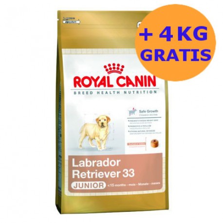 Royal Canin Labrador Junior 2 x 12kg + 4KG GRATIS