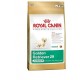 Royal Canin Golden Junior 12kg