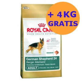 Royal Canin German Shepherd 2 x 12 + 4KG GRATIS !!!