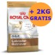 Royal Canin Labrador 12 + 2KG GRATIS !!!