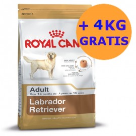 Royal Canin Labrador 2 x 12kg + 4KG GRATIS !!!