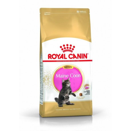 Royal Canin Kitten Maine Coon 10kg