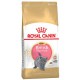 Royal Canin Kitten British Shorthair 2 x 10kg