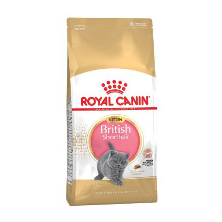 Royal Canin Kitten British Shorthair 2 x 10kg