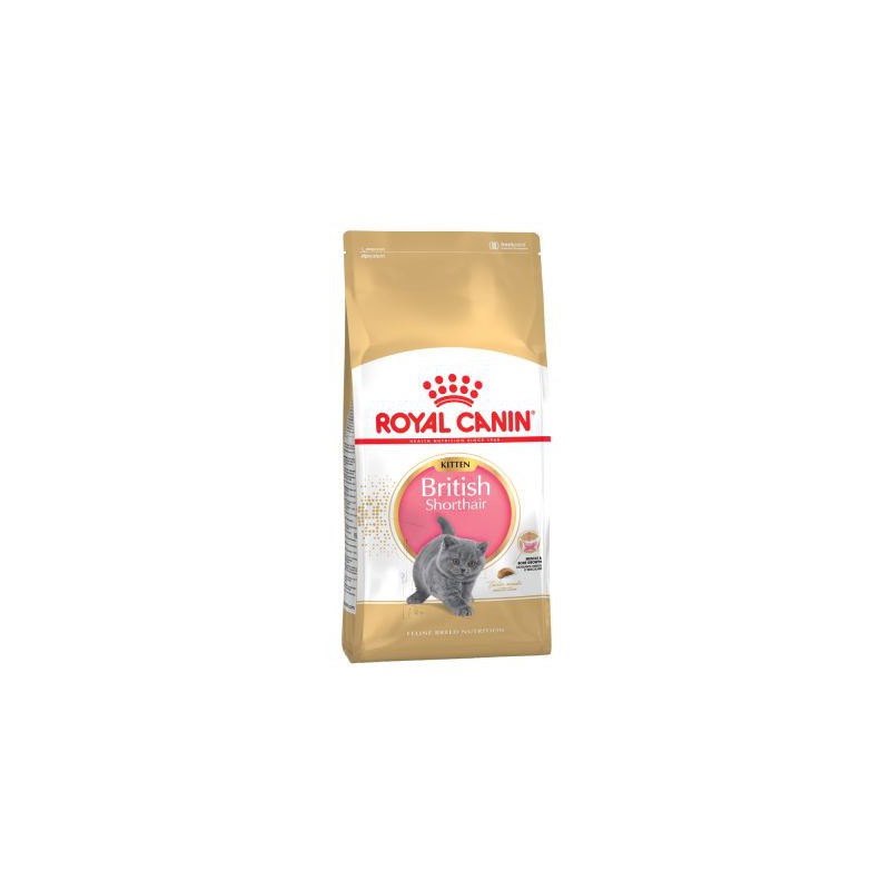 Royal canin british shorthair kitten 10kg hotsell