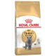 Royal Canin British Shorthair 2kg