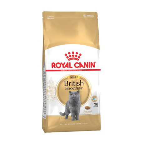 Royal Canin British Shorthair 10kg