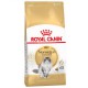 Royal Canin Norwegian 10kg