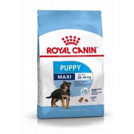 Royal Canin Maxi Junior 1kg