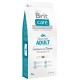 Brit Care Salmon Potato 12kg