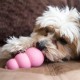 Kong Puppy Medium 8,5cm