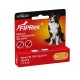 Fiprex M dla psów 10 - 20kg